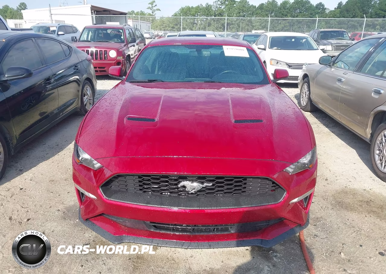 2019 Ford Mustang Ecoboost Premium VIN:1FA6P8TH2K5116477 - 6