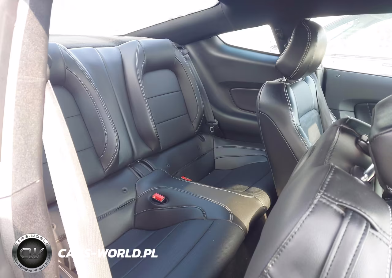 2019 Ford Mustang Ecoboost Premium VIN:1FA6P8TH2K5116477 - 8