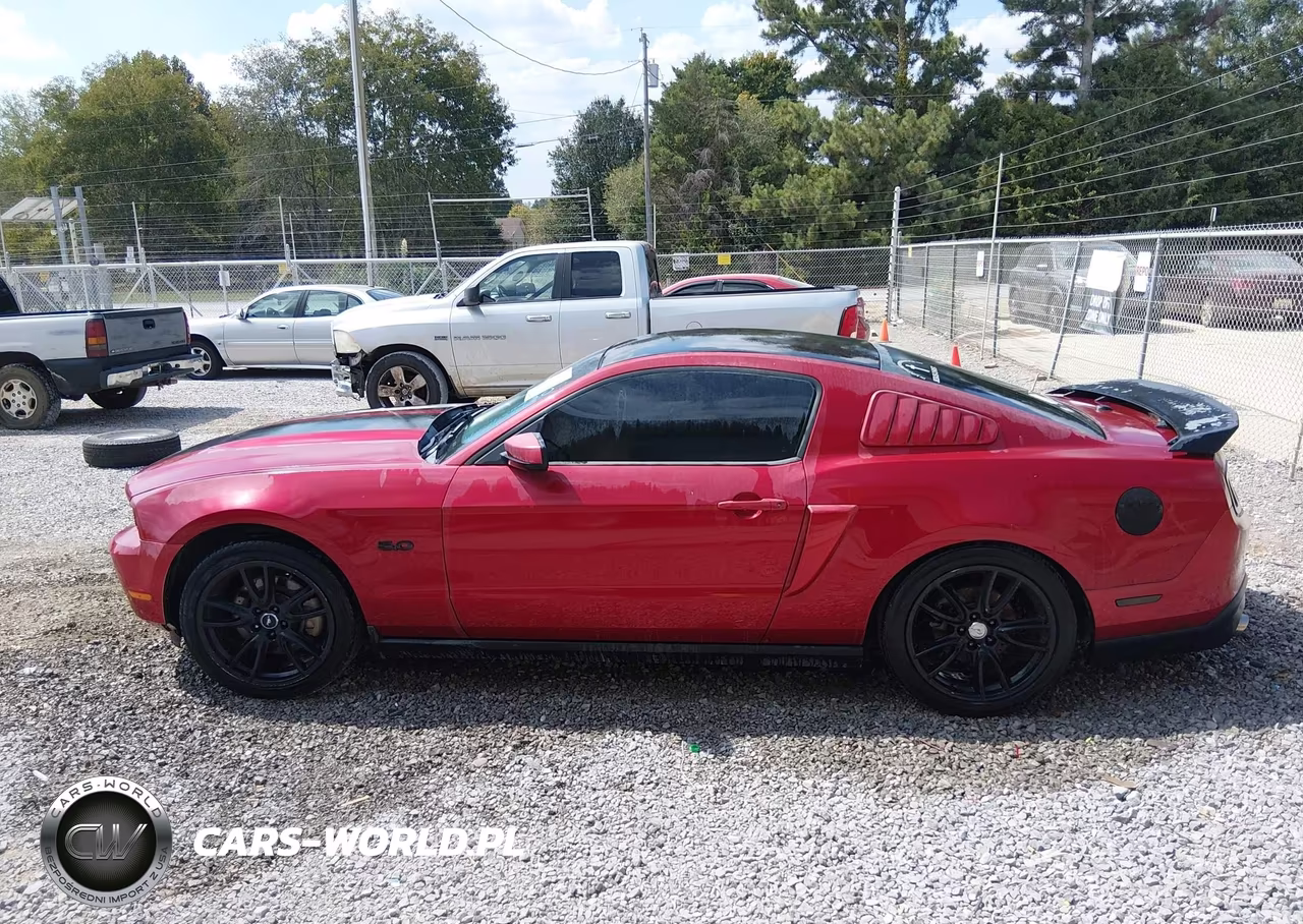 2011 Ford Mustang Gt Premium VIN:1ZVBP8CF8B5130193 - 16