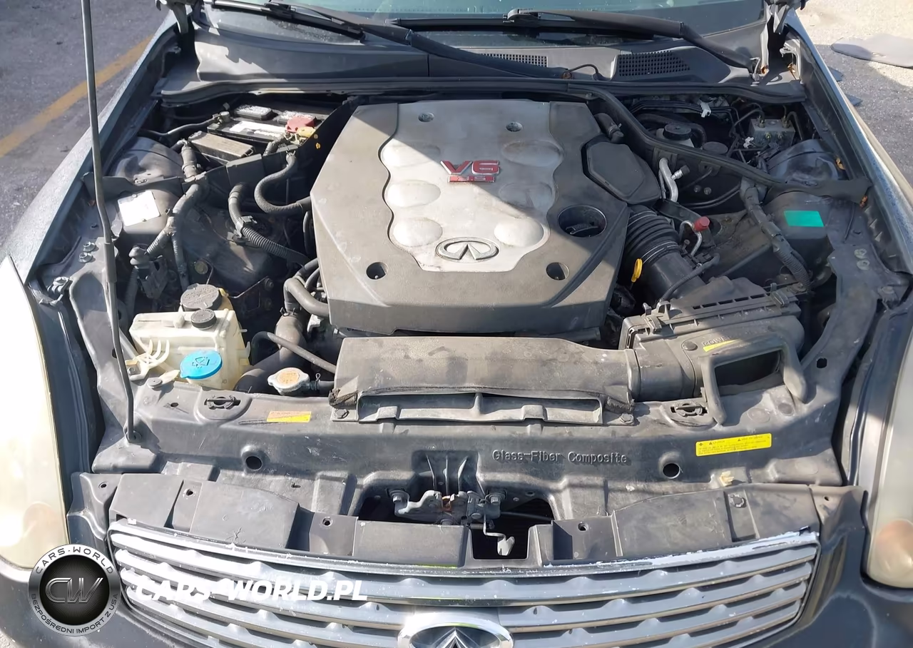 2004 Infiniti G35 VIN:JNKCV54E34M815369 - 10