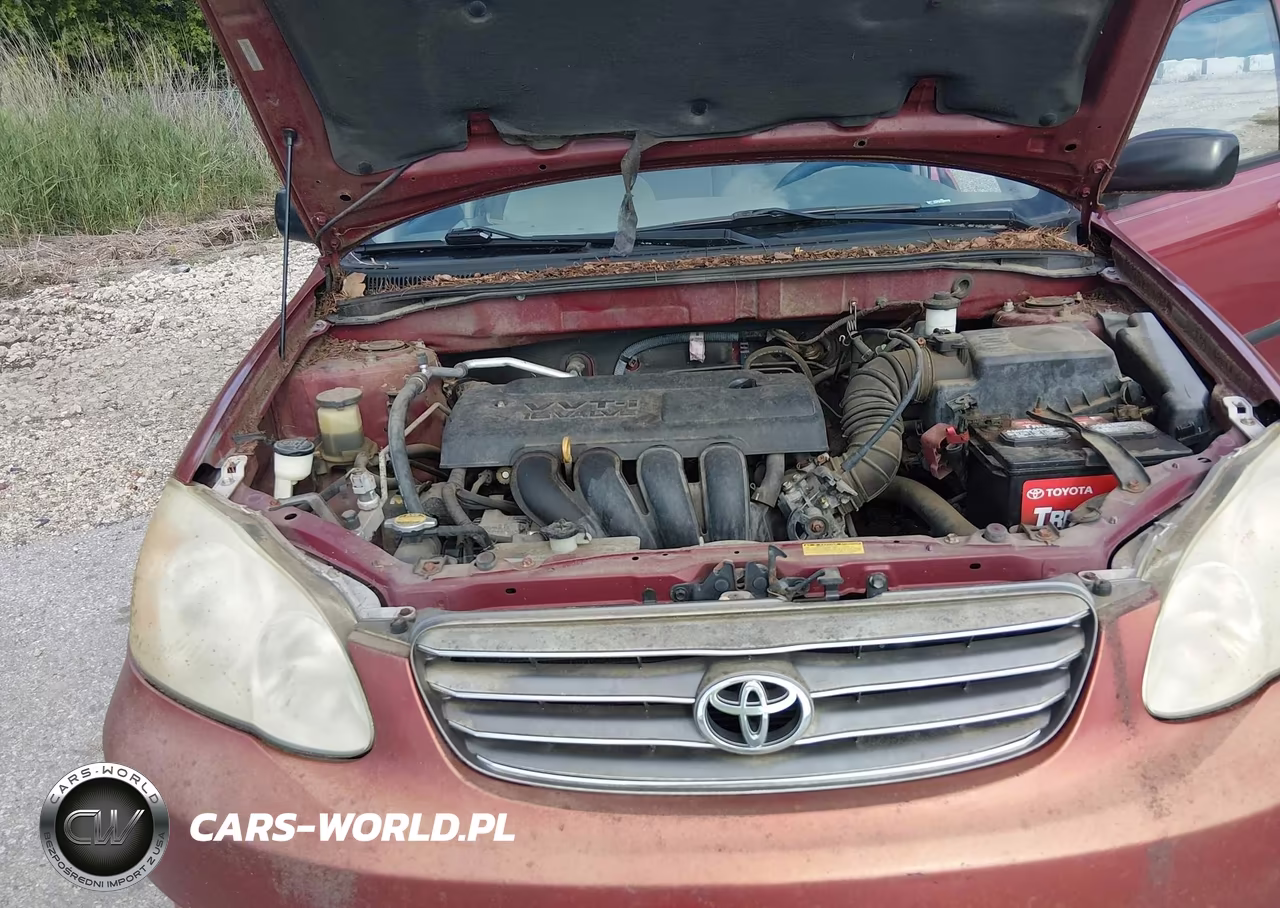 2003 Toyota Corolla Ce VIN:1NXBR32E03Z153768 - 10