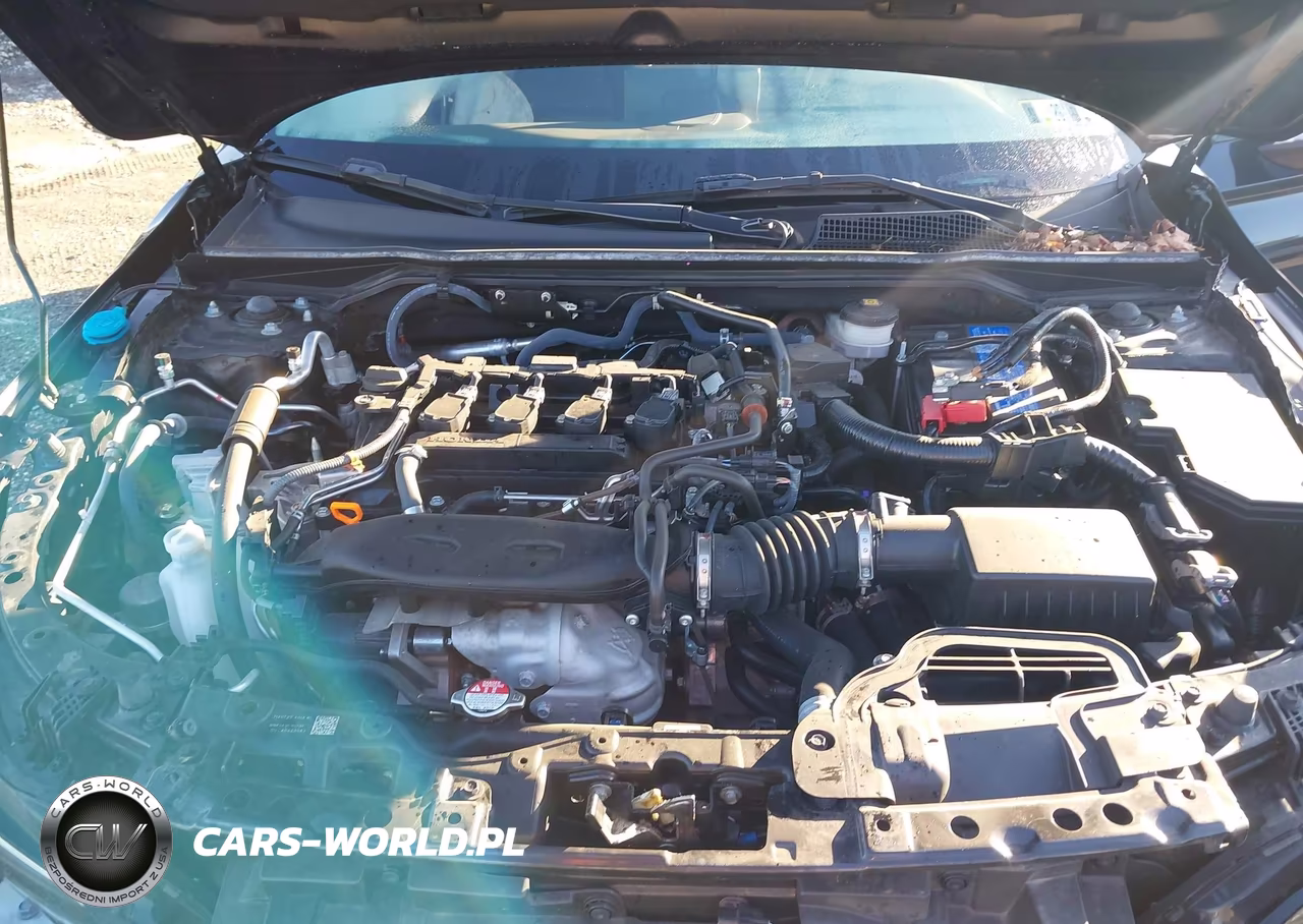 2024 Honda Civic Sport Touring VIN:19XFL1H87RE024835 - 10