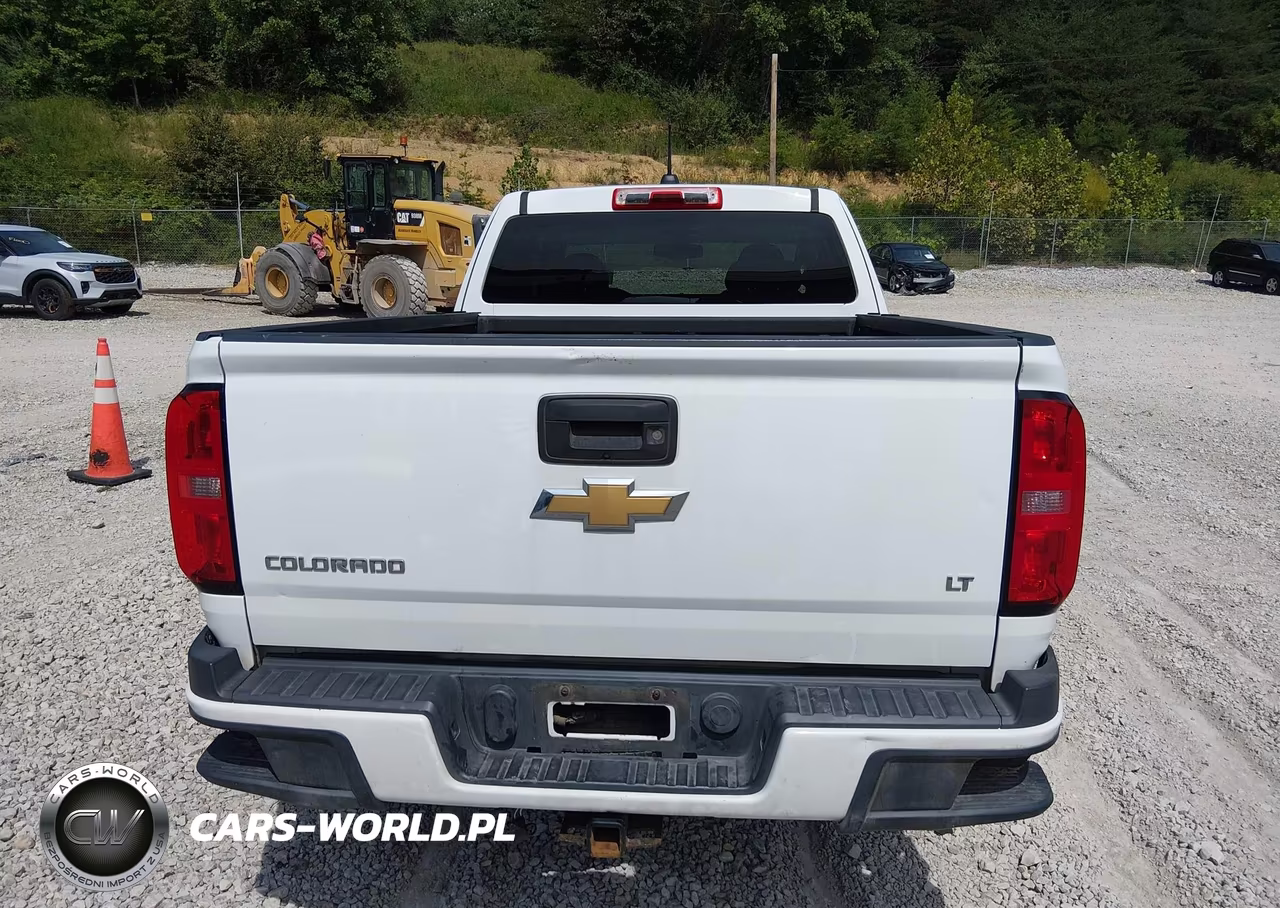 2016 Chevrolet Colorado 4Wd Lt VIN:1GCHTCEA2G1203960 - 17