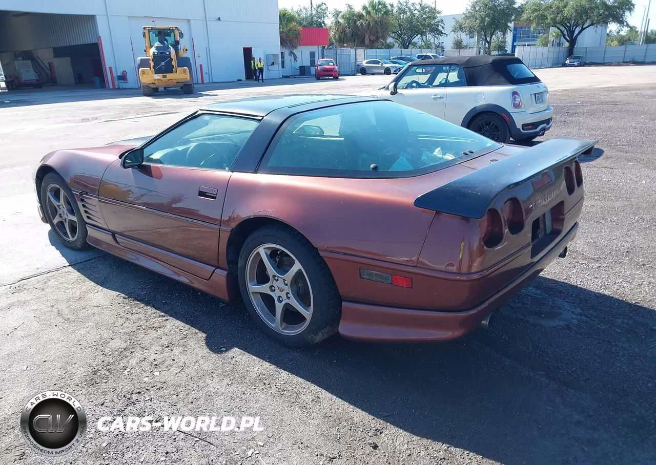 1993 Chevrolet Corvette VIN:1G1YY23P9P5103066 - 3