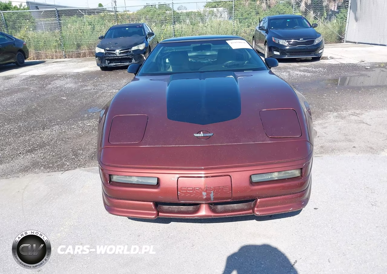 1993 Chevrolet Corvette VIN:1G1YY23P9P5103066 - 6