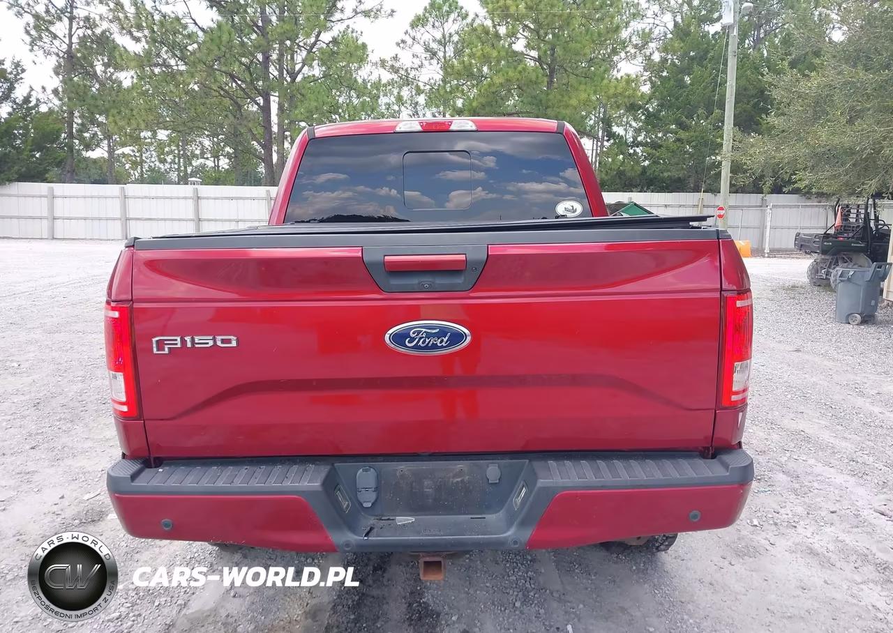 2017 Ford F-150 Xlt VIN:1FTEW1EP9HFB51752 - 15
