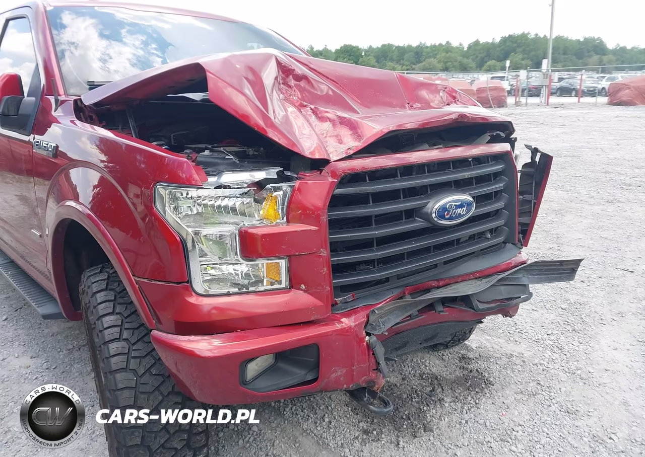 2017 Ford F-150 Xlt VIN:1FTEW1EP9HFB51752 - 16
