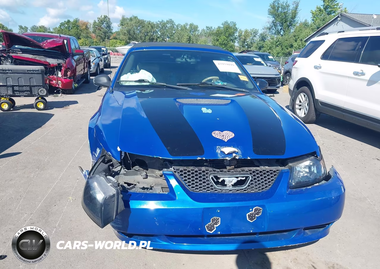 2002 Ford Mustang VIN:1FAFP44452F184500 - 13