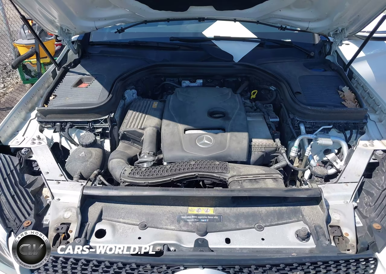 2019 Mercedes-Benz Glc 300 Coupe 4Matic VIN:WDC0J4KB7KF547991 - 10