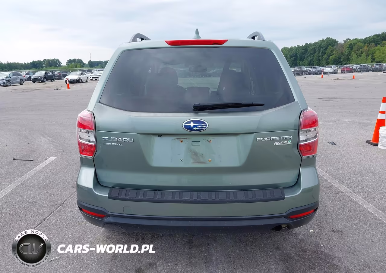 2016 Subaru Forester 2.5I Premium VIN:JF2SJAGC6GH413288 - 17