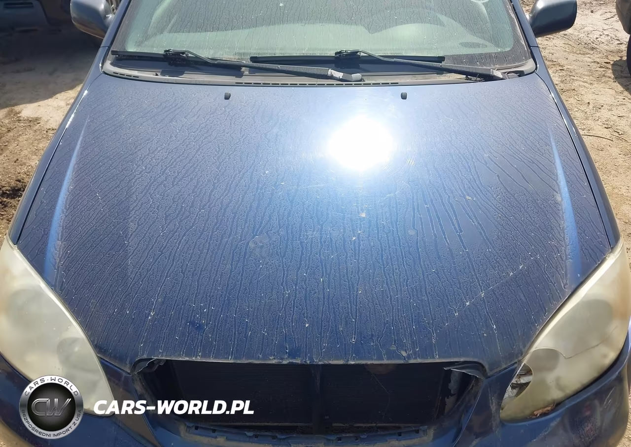 2008 Toyota Corolla Ce VIN:1NXBR32EX8Z976540 - 10