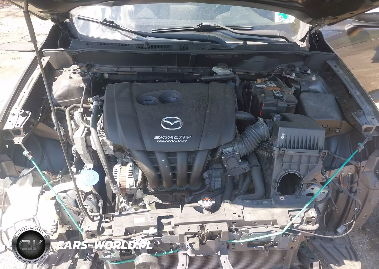 2016 Mazda Cx-3 Touring VIN:JM1DKFC73G0134616 - 10