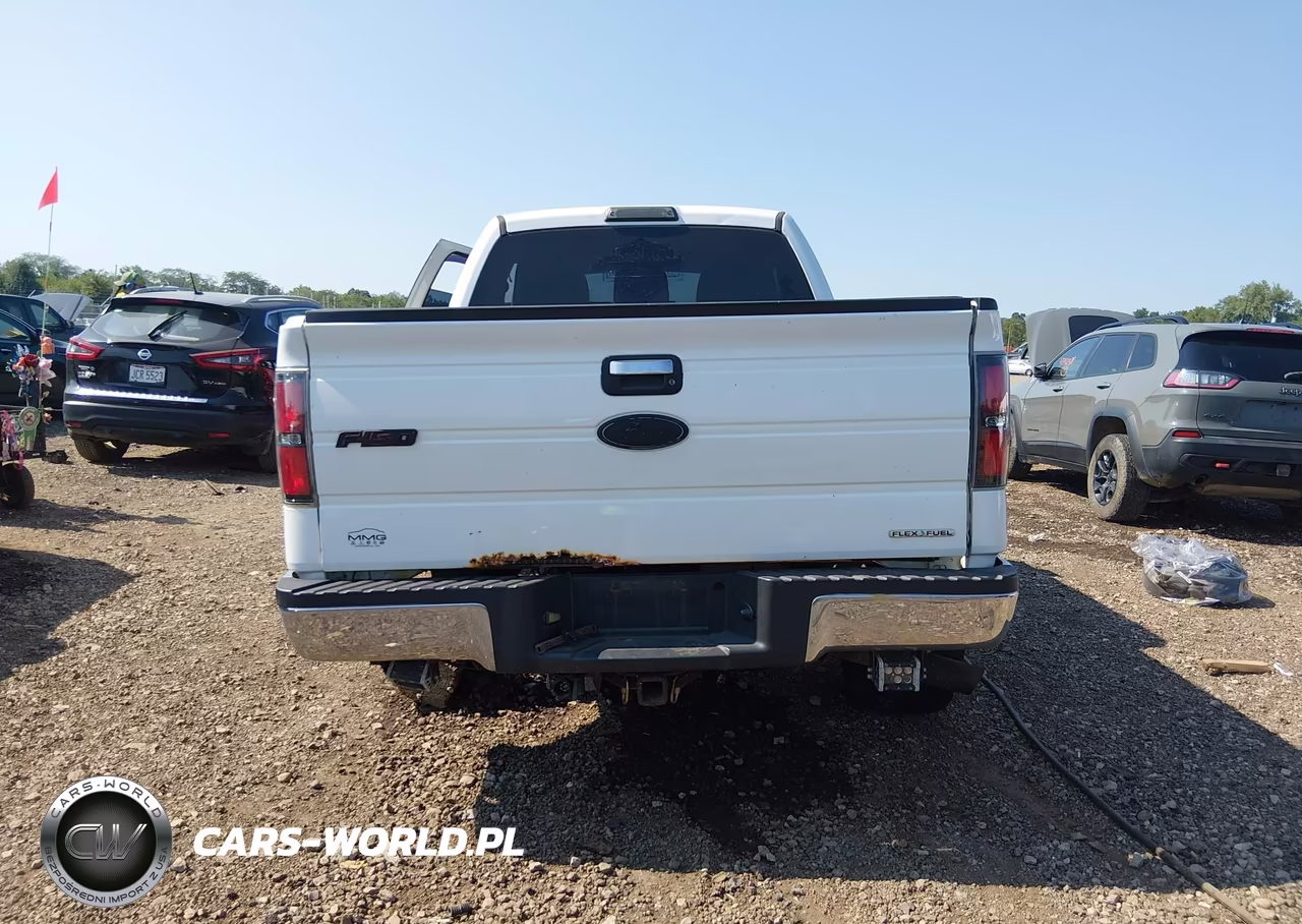 2011 Ford F-150 Xlt VIN:1FTFX1EF7BFB48252 - 16