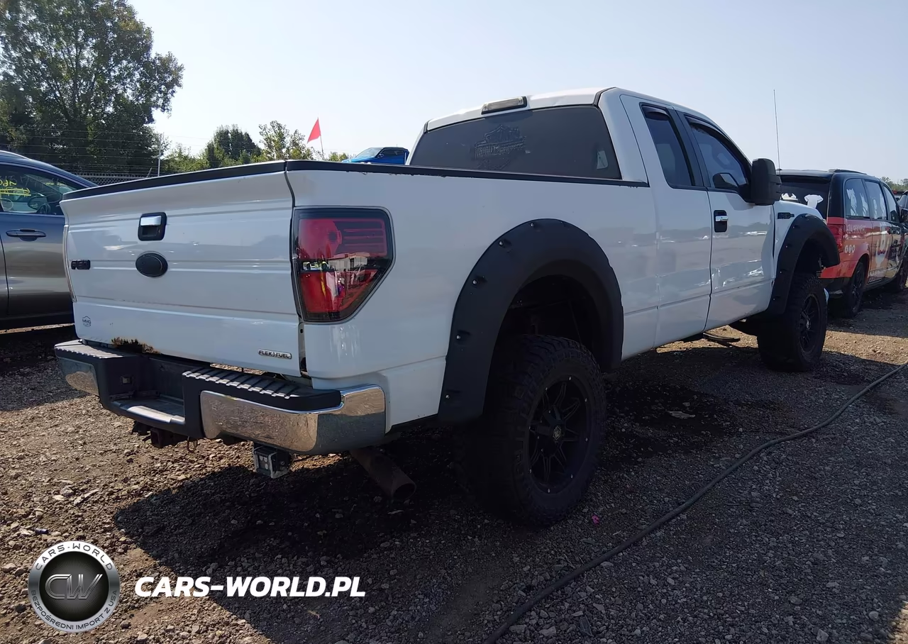 2011 Ford F-150 Xlt VIN:1FTFX1EF7BFB48252 - 4