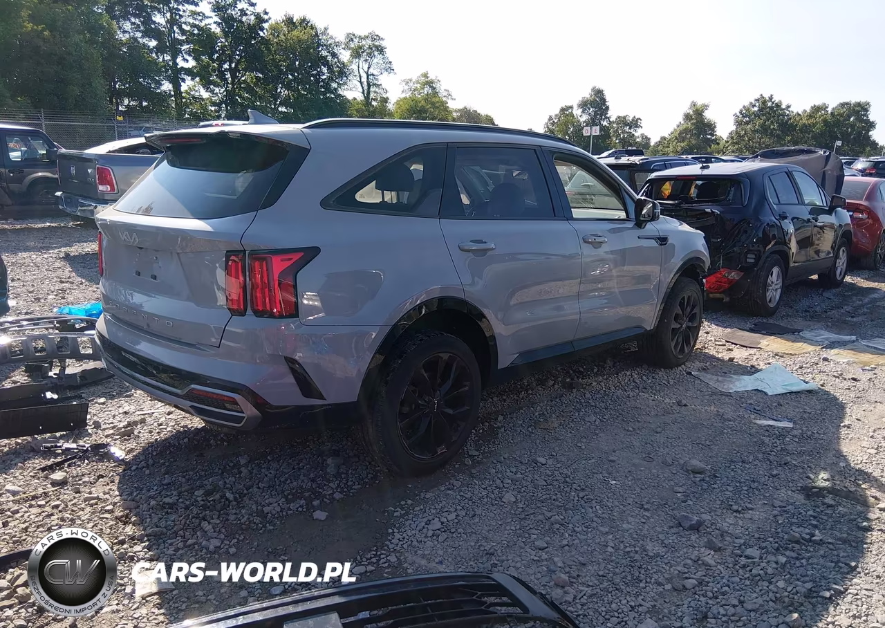 2022 Kia Sorento Sx VIN:5XYRKDLF3NG123236 - 4