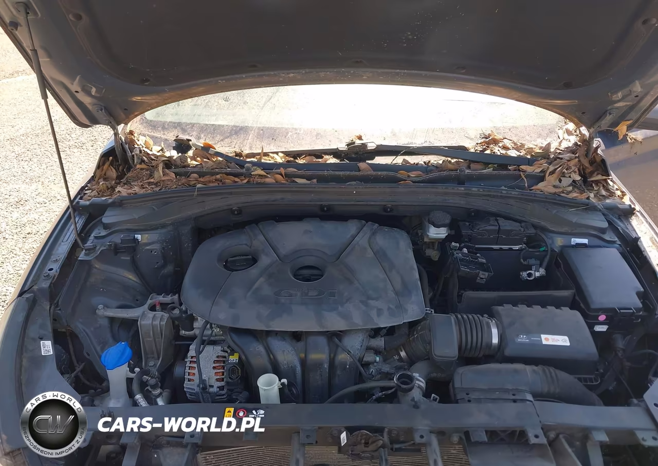 2018 Hyundai Elantra Gt VIN:KMHH35LE0JU038333 - 10