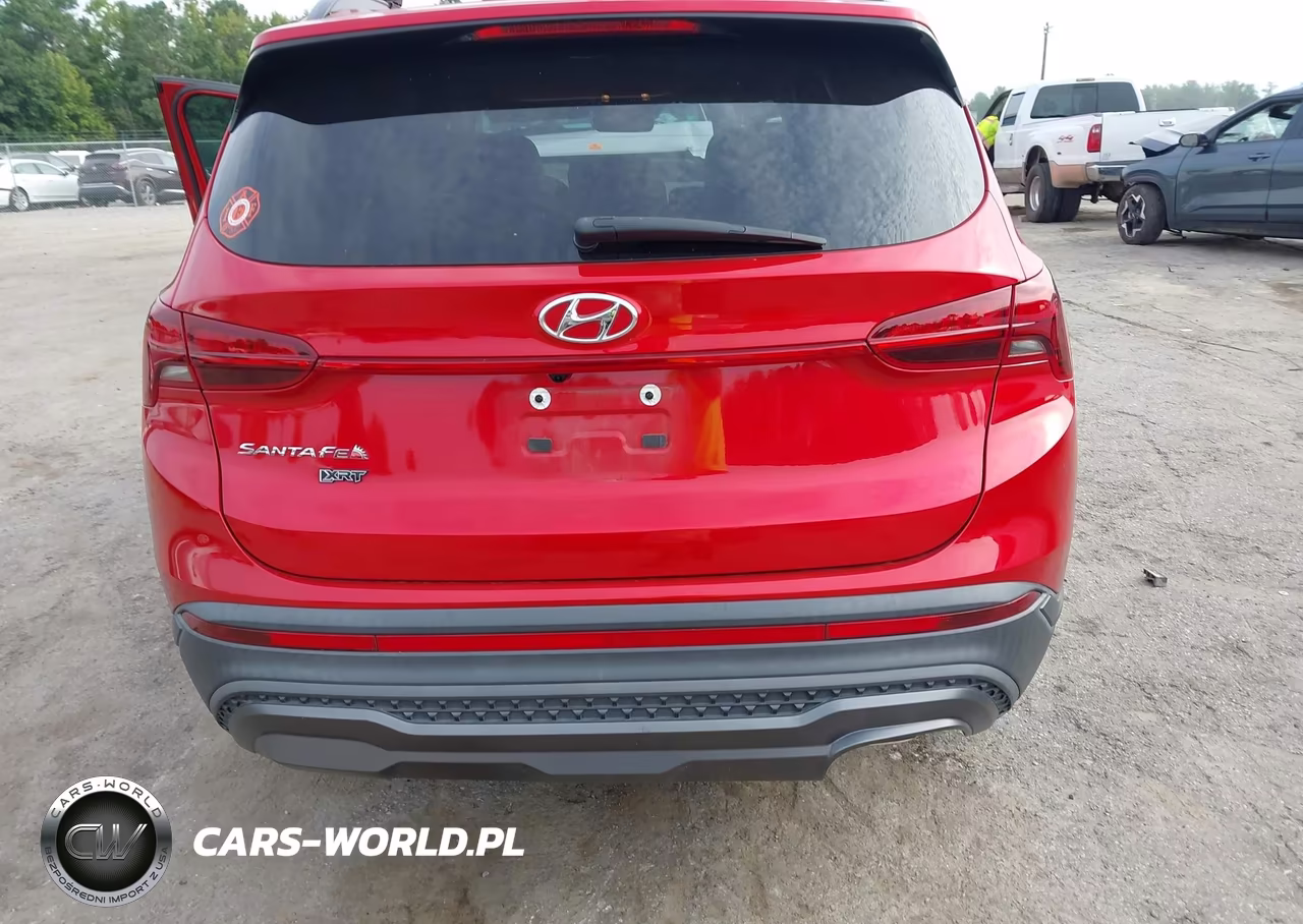 2023 Hyundai Santa Fe Xrt VIN:5NMS64AJXPH513918 - 16