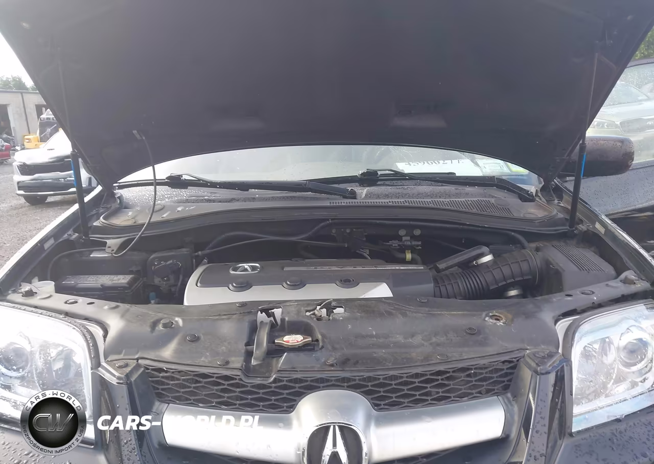 2006 Acura Mdx VIN:2HNYD18266H541944 - 10