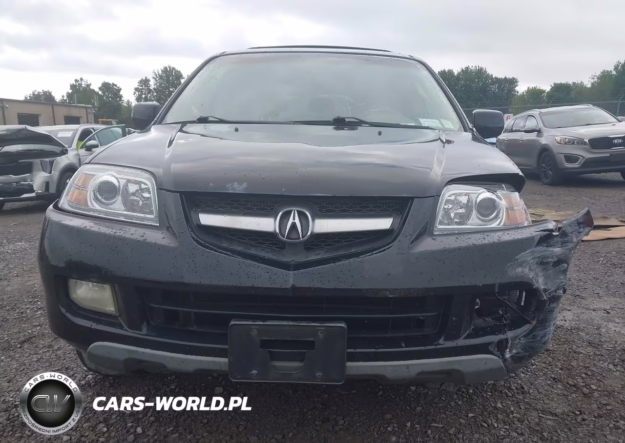 2006 Acura Mdx VIN:2HNYD18266H541944 - 12