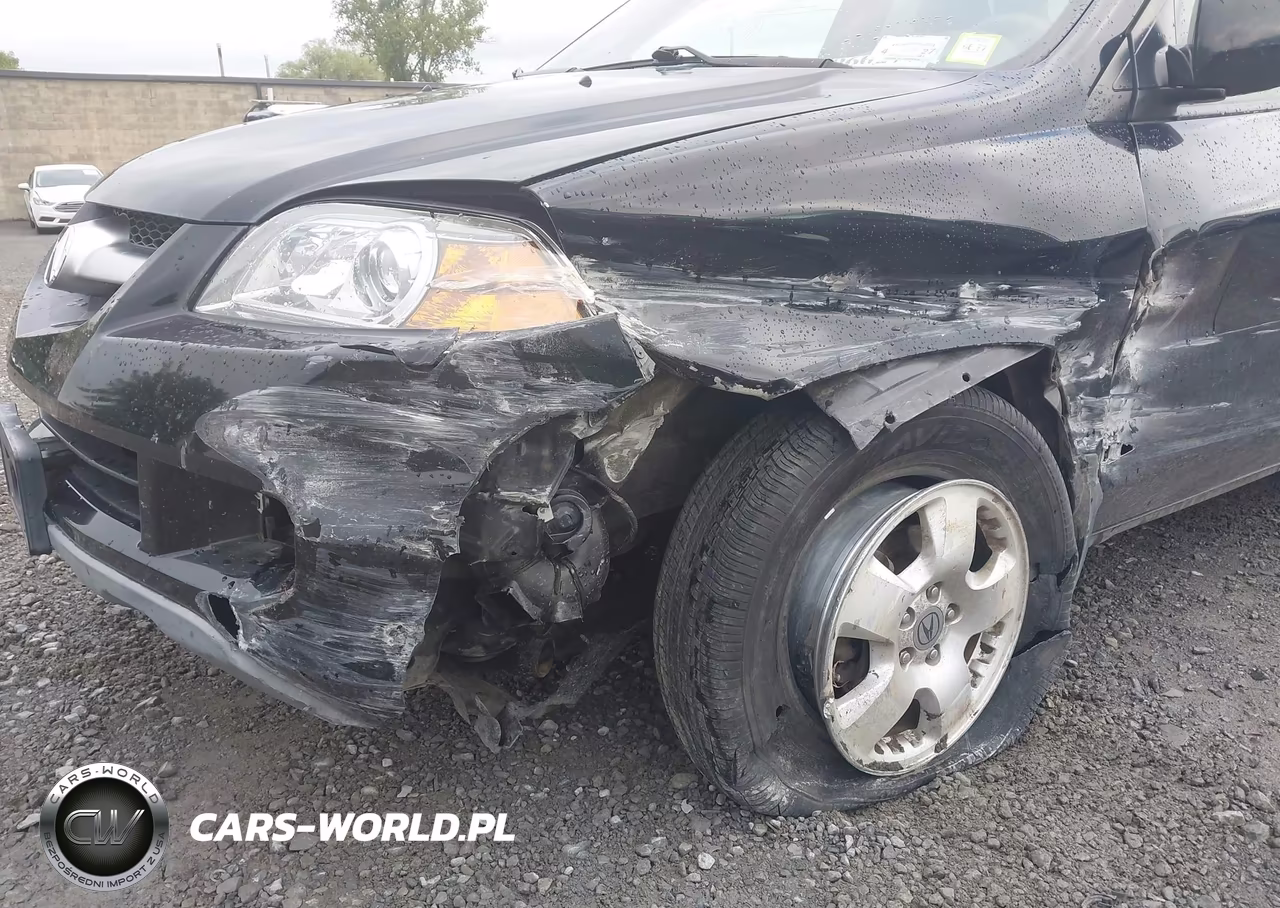 2006 Acura Mdx VIN:2HNYD18266H541944 - 6