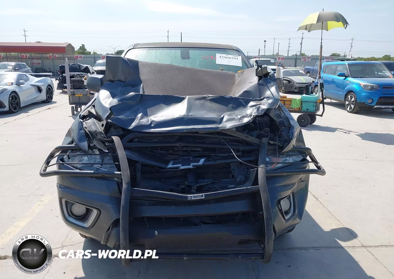 2016 Chevrolet Colorado 4Wd Z71 VIN:1GCGTDE33G1168235 - 12
