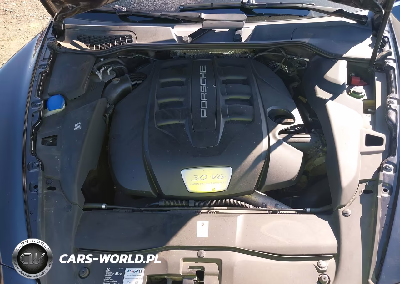 2013 Porsche Cayenne Diesel VIN:WP1AF2A20DLA36353 - 10
