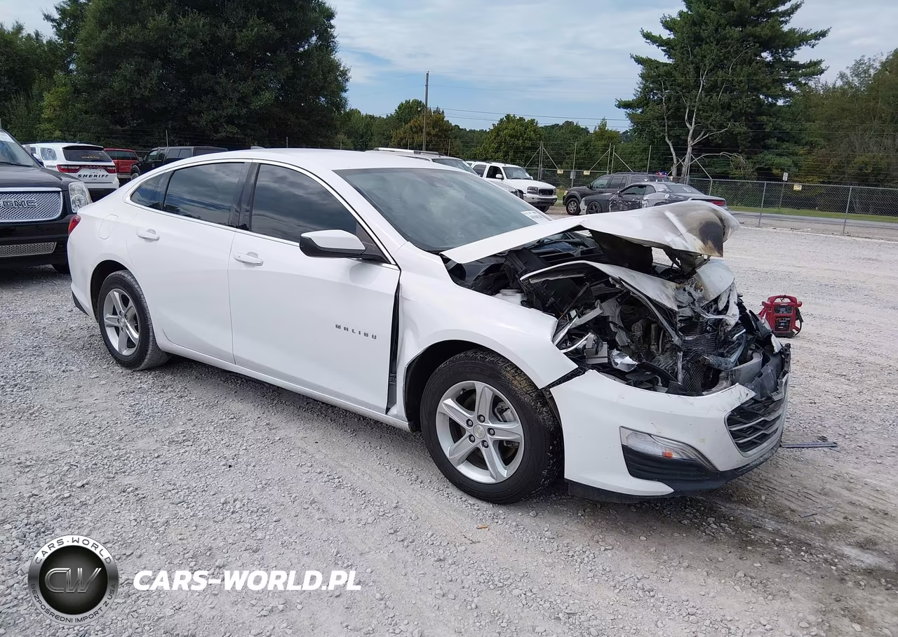2020 Chevrolet Malibu Fwd 1Fl VIN:1G1ZC5ST2LF099451 - 1