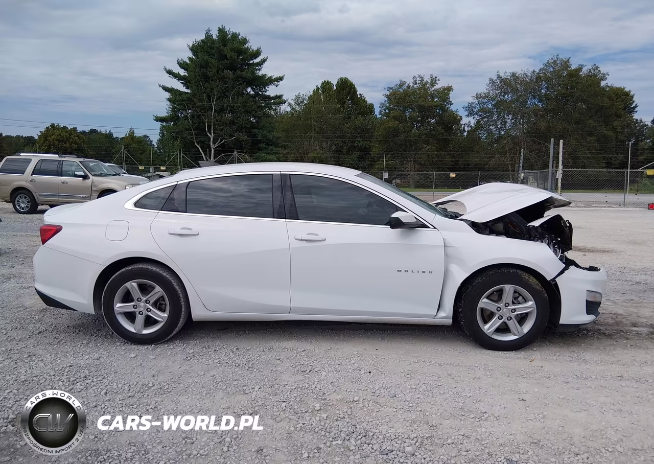2020 Chevrolet Malibu Fwd 1Fl VIN:1G1ZC5ST2LF099451 - 13