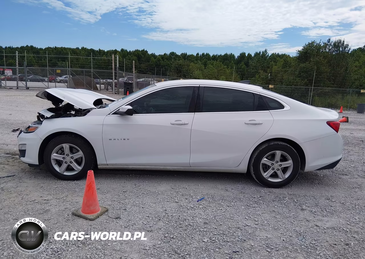 2020 Chevrolet Malibu Fwd 1Fl VIN:1G1ZC5ST2LF099451 - 14