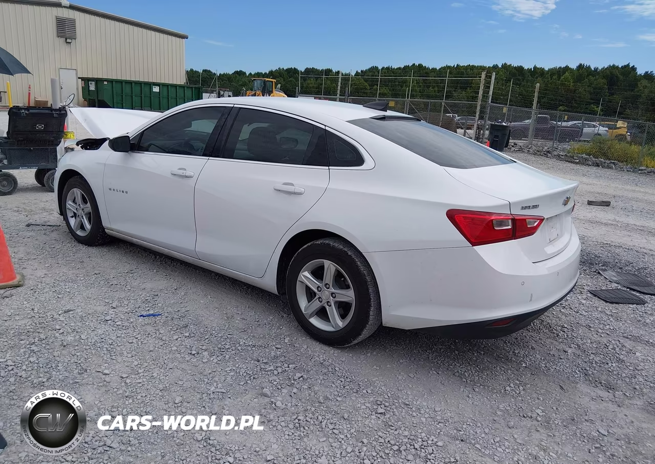2020 Chevrolet Malibu Fwd 1Fl VIN:1G1ZC5ST2LF099451 - 3