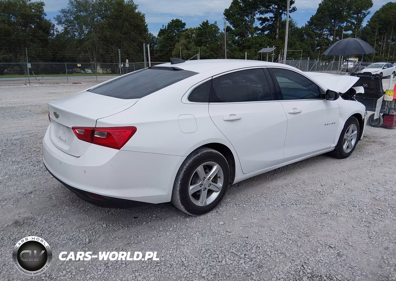 2020 Chevrolet Malibu Fwd 1Fl VIN:1G1ZC5ST2LF099451 - 4