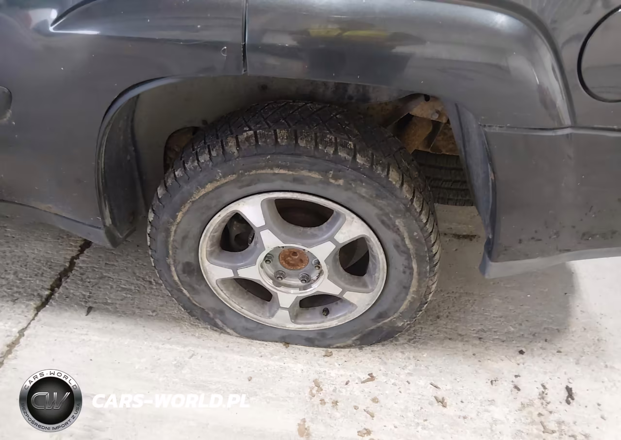 2004 Chevrolet Trailblazer Lt VIN:1GNDT13S942206379 - 6