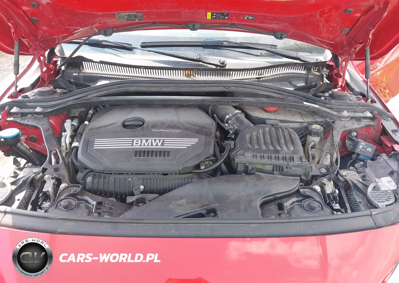 2020 BMW 228I Gran Coupe xDrive VIN:WBA73AK02L7G14942 - 10