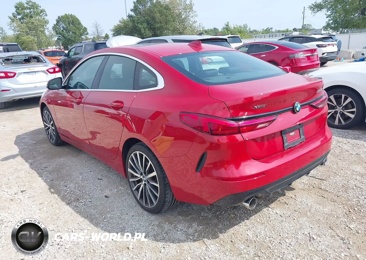 2020 BMW 228I Gran Coupe xDrive VIN:WBA73AK02L7G14942 - 3