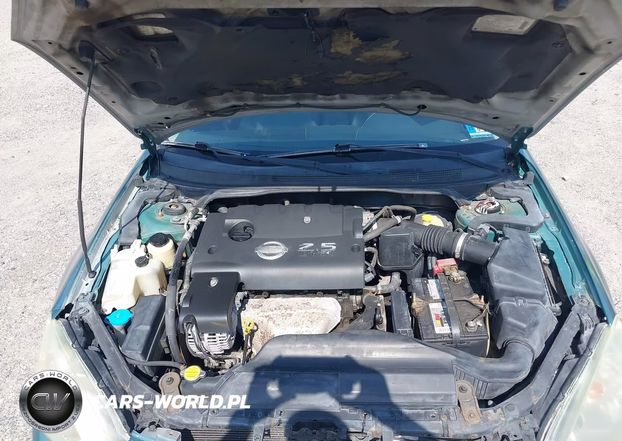 2003 Nissan Altima 2.5 S VIN:1N4AL11D23C316513 - 10