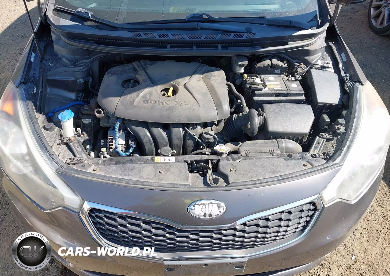 2014 Kia Forte Lx VIN:KNAFX4A62E5094731 - 10