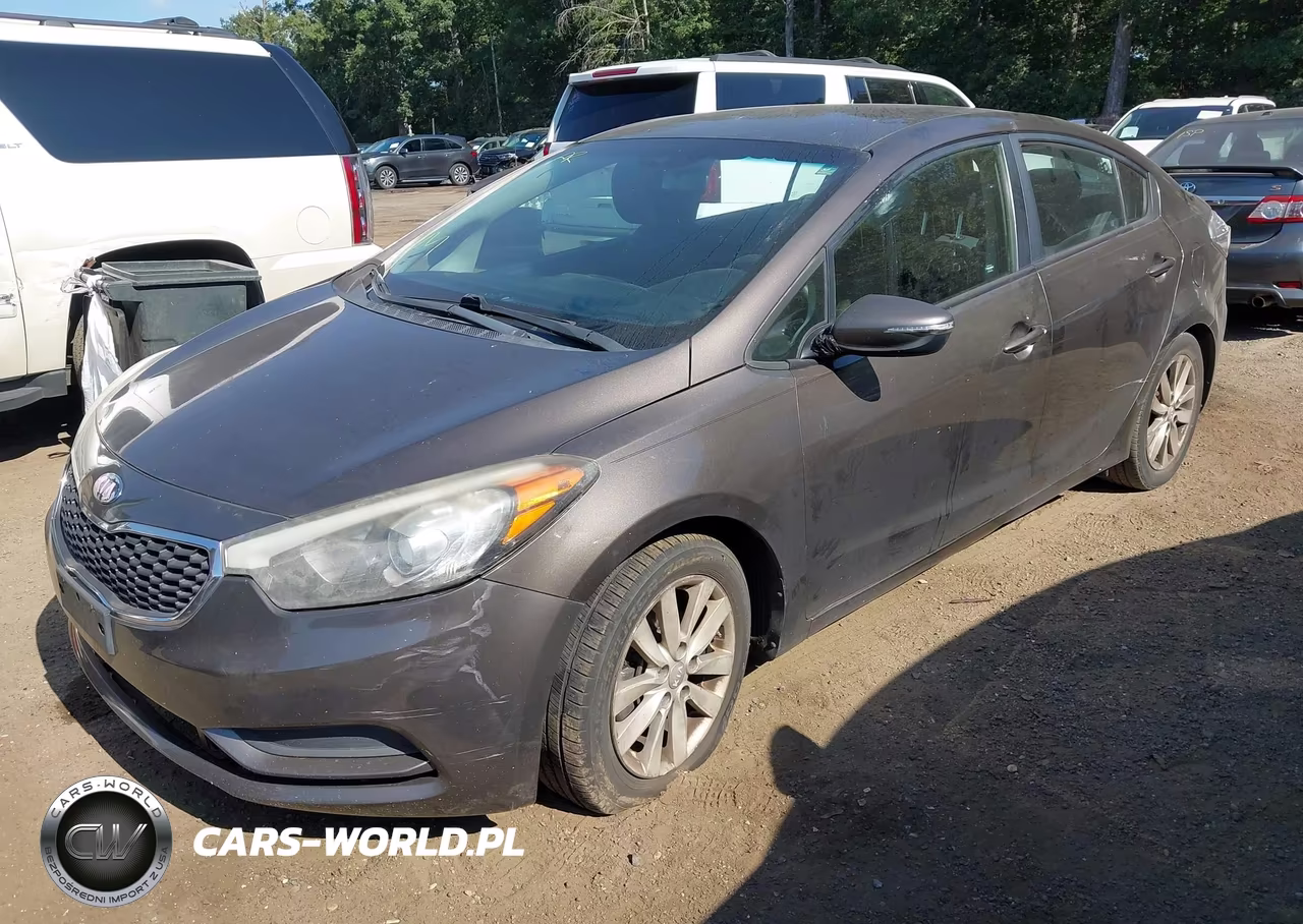 2014 Kia Forte Lx VIN:KNAFX4A62E5094731 - 2