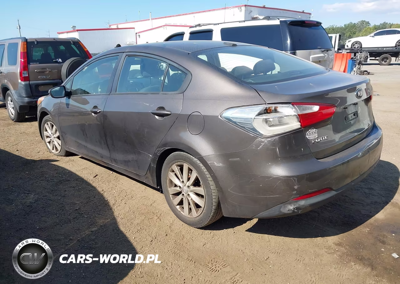 2014 Kia Forte Lx VIN:KNAFX4A62E5094731 - 3