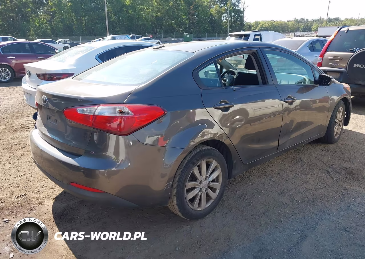 2014 Kia Forte Lx VIN:KNAFX4A62E5094731 - 4