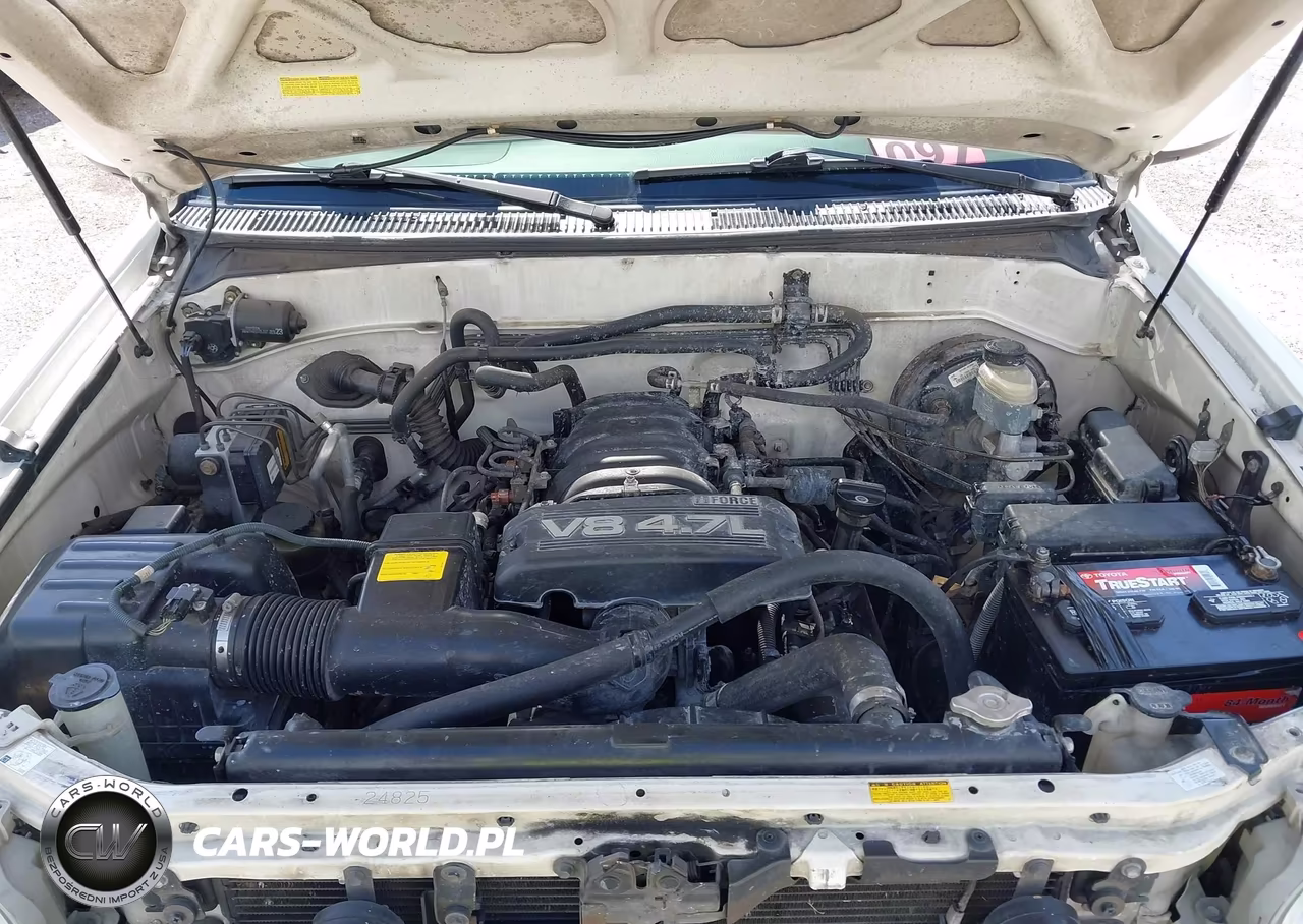 2006 Toyota Sequoia Sr5 V8 VIN:5TDZT34A96S269395 - 10