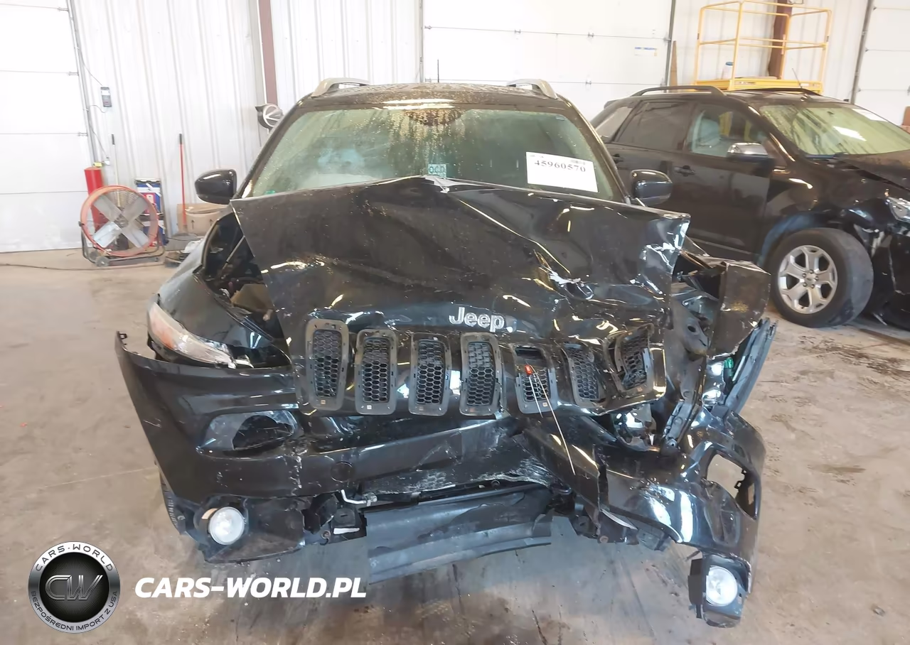 2014 Jeep Cherokee Limited VIN:1C4PJMDS3EW276238 - 12