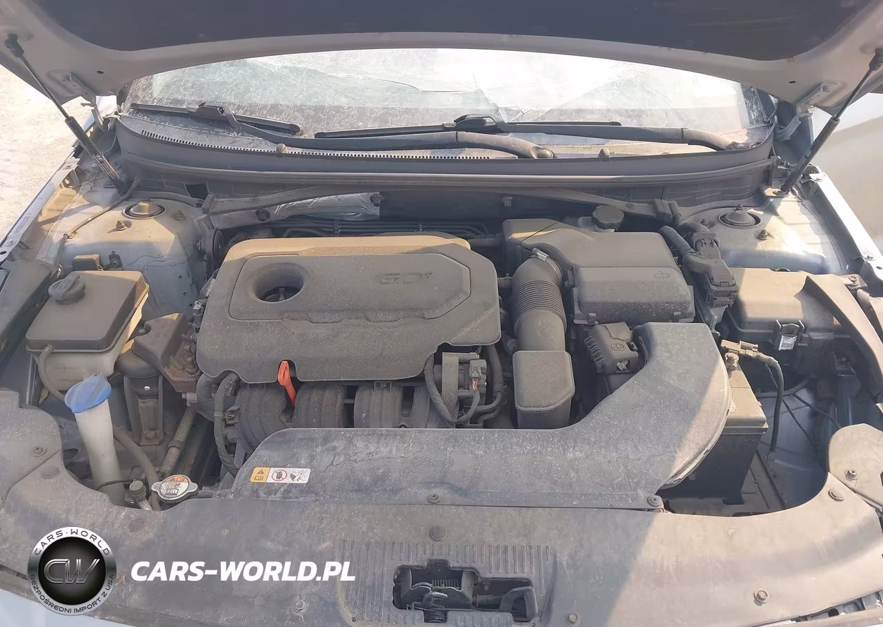 2015 Hyundai Sonata Sport VIN:5NPE34AF3FH019919 - 10
