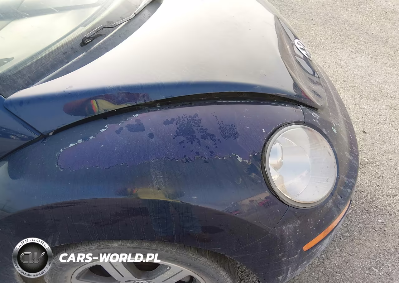 2006 Volkswagen New Beetle 2.5 VIN:3VWRW31C36M405174 - 12