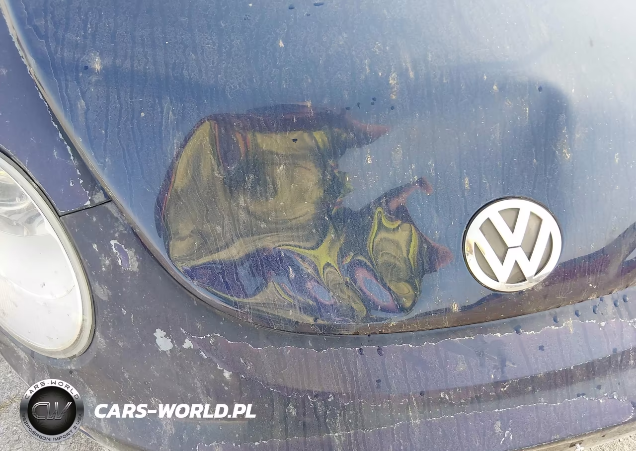 2006 Volkswagen New Beetle 2.5 VIN:3VWRW31C36M405174 - 6