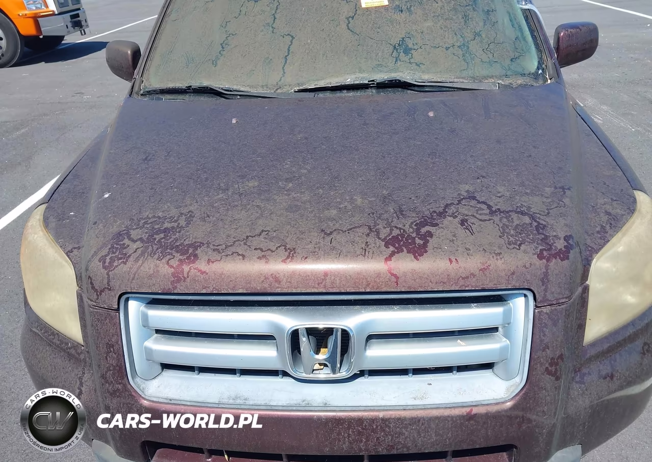 2008 Honda Pilot Ex-L VIN:5FNYF28598B019172 - 10