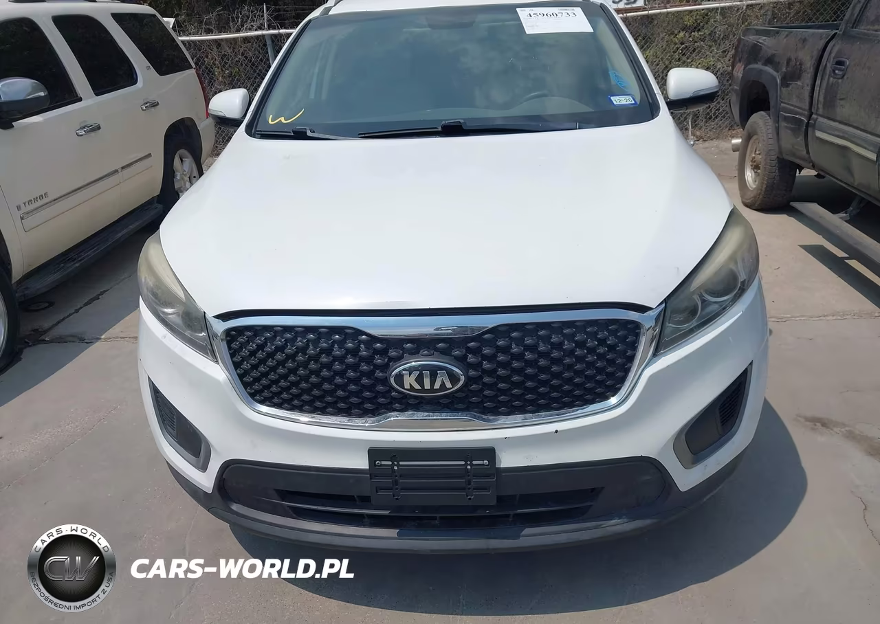 2017 Kia Sorento 3.3L Lx VIN:5XYPGDA58HG187439 - 12