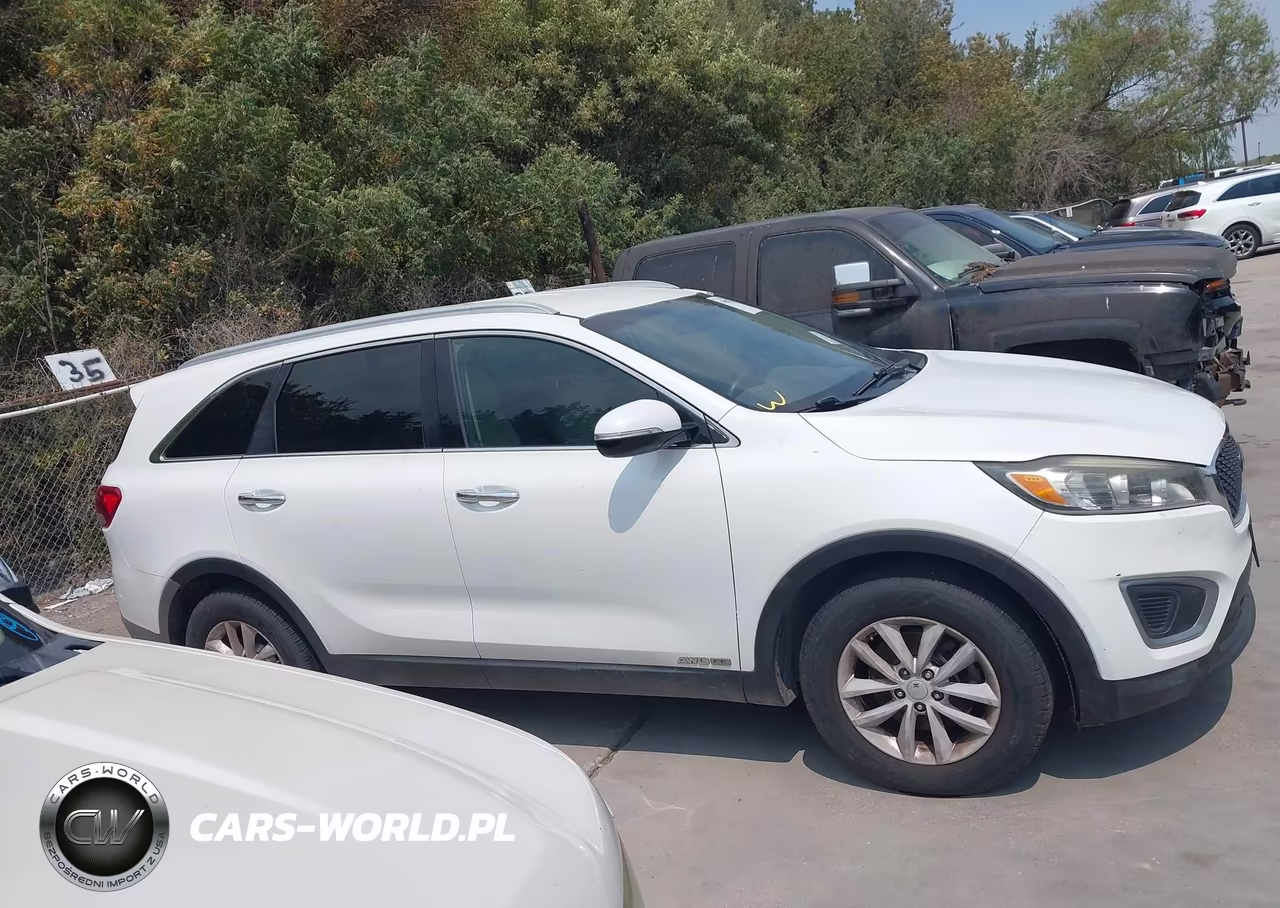 2017 Kia Sorento 3.3L Lx VIN:5XYPGDA58HG187439 - 13