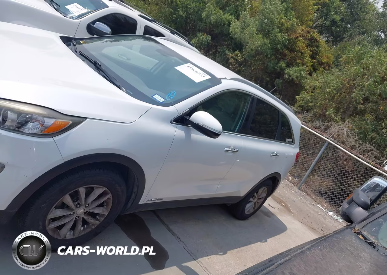 2017 Kia Sorento 3.3L Lx VIN:5XYPGDA58HG187439 - 14