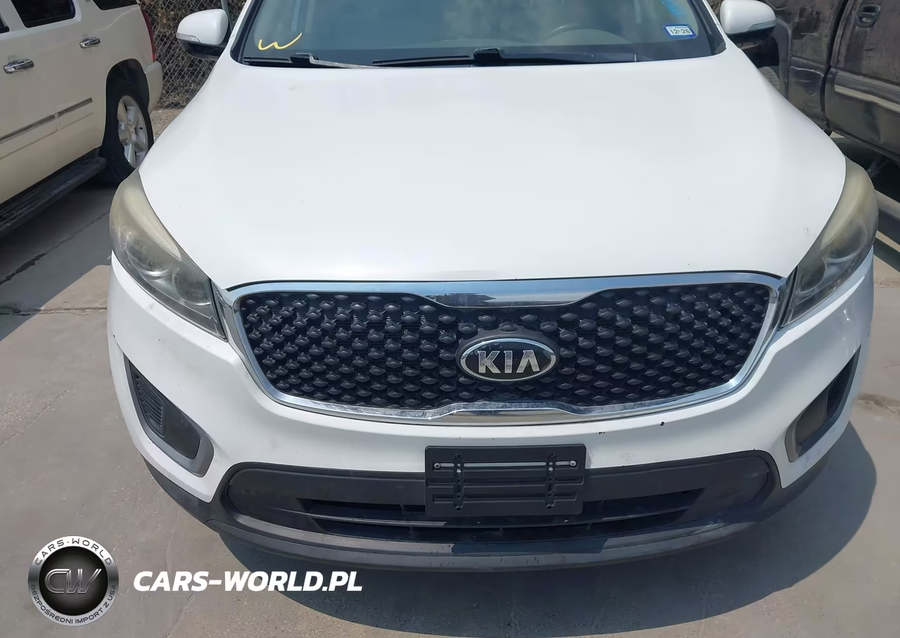 2017 Kia Sorento 3.3L Lx VIN:5XYPGDA58HG187439 - 6