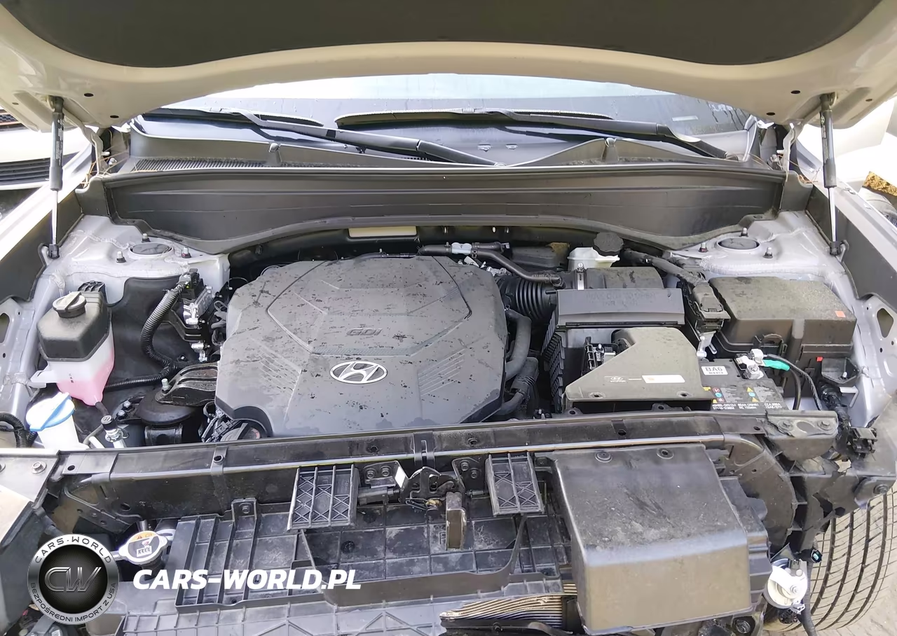 2025 Hyundai Palisade Sel VIN:KM8R24GE5SU952574 - 10